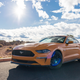 Image for article titled I Am a Mustang Woman Now